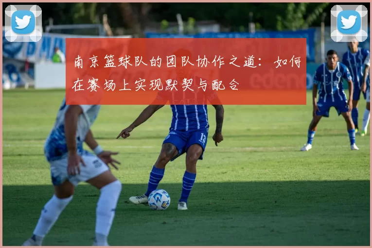 南京篮球队的团队协作之道：如何在赛场上实现默契与配合