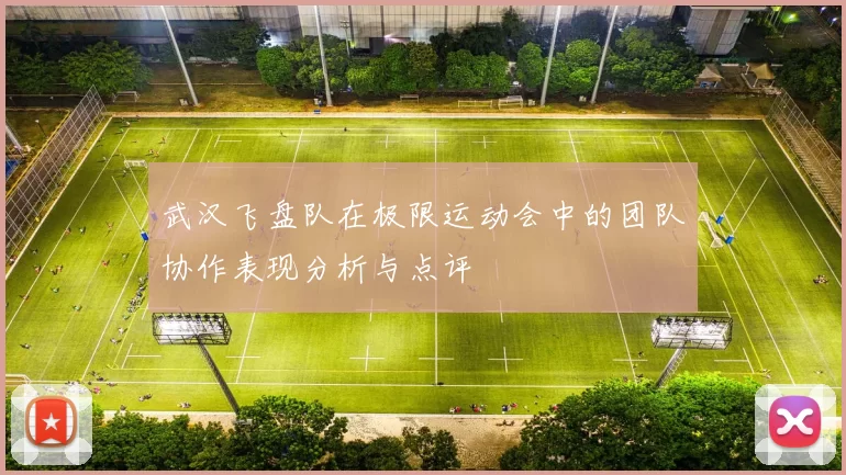 武汉飞盘队在极限运动会中的团队协作表现分析与点评