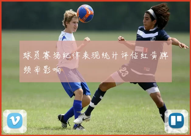 球员赛场纪律表现统计评估红黄牌频率影响