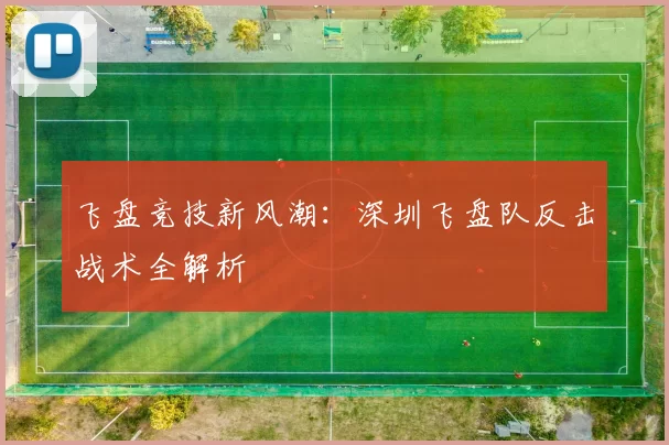 飞盘竞技新风潮：深圳飞盘队反击战术全解析