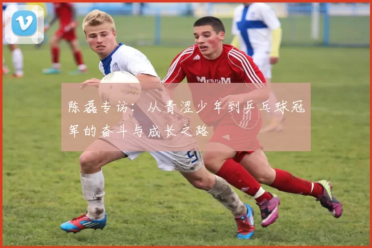 陈磊专访：从青涩少年到乒乓球冠军的奋斗与成长之路