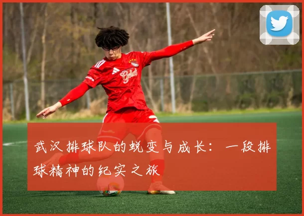 武汉排球队的蜕变与成长：一段排球精神的纪实之旅