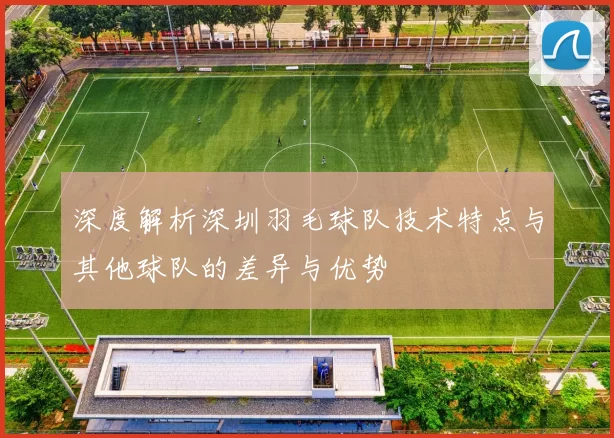 深度解析深圳羽毛球队技术特点与其他球队的差异与优势
