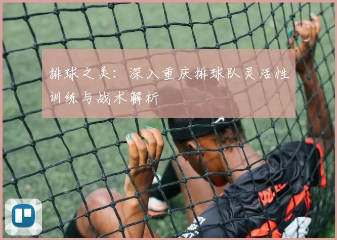 排球之美：深入重庆排球队灵活性训练与战术解析
